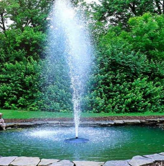 Common Mistakes People Make When Replacing a Water Fountain Pump
